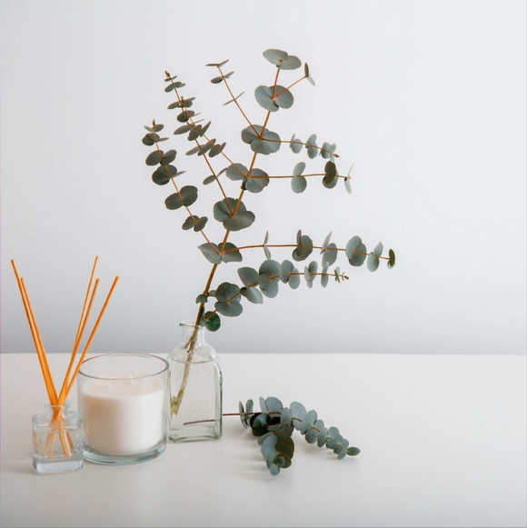 Home Fragrance