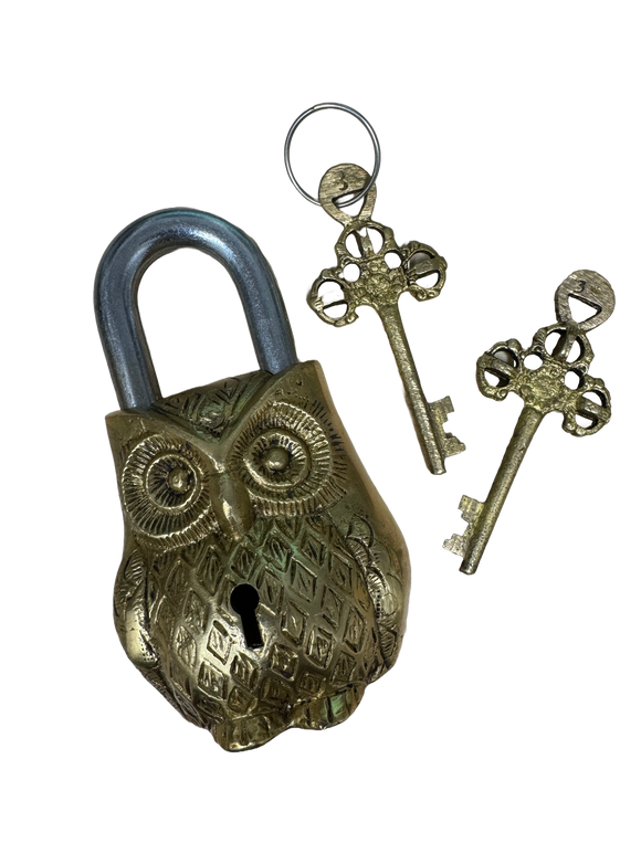 Brass & Stainless Steel Lock w/ 2 Keys