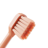 Replacement Heads for Happ E-Brush - Soft Bristle Brush Head