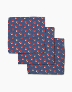 Four In A Row Dot Blue Dishcloth Set