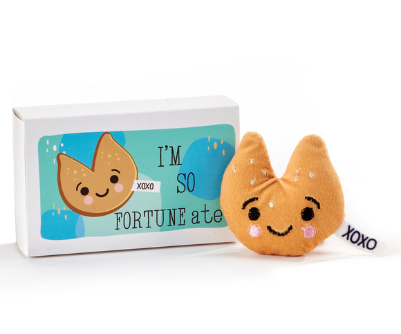 Fortune Cookie Pocket Hug w/Gift Box