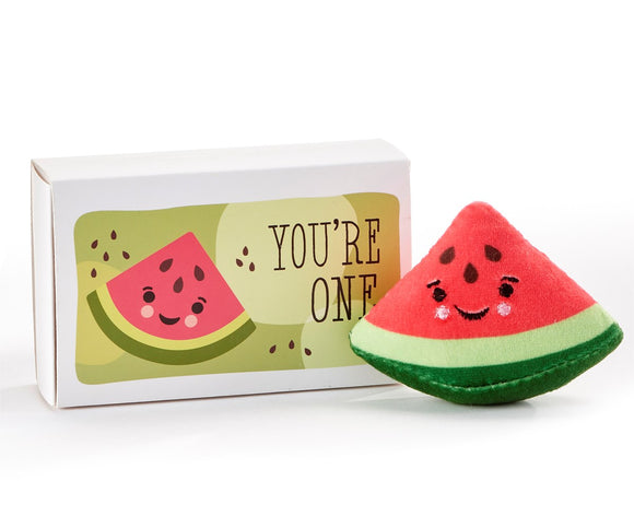 Watermelon Pocket Hug w/Gift Box