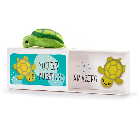 Turtle Pocket Hug w/Gift Box