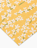 Spring Bounty Not Paper Towel