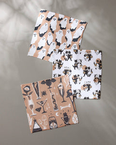 Spooks Dishcloth Set