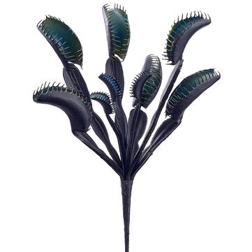 Venus Flytrap Pick