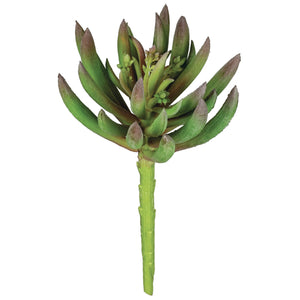 Succulent Pick