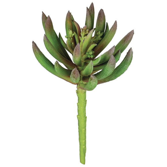 Succulent Pick
