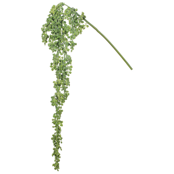 String of Pearls