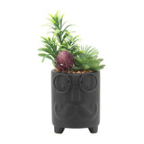Face Planter W/ Artificial Plants