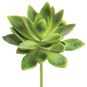Soft Touch Mini Agave Pick