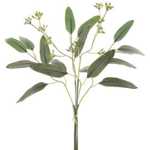Seeded Eucalyptus Bundle