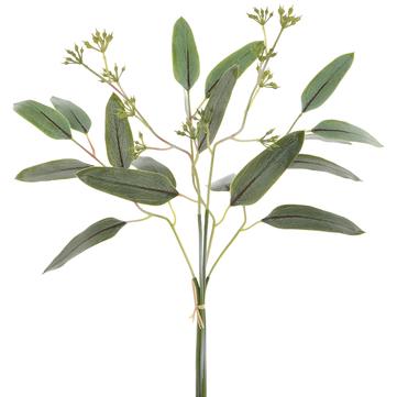 Seeded Eucalyptus Bundle