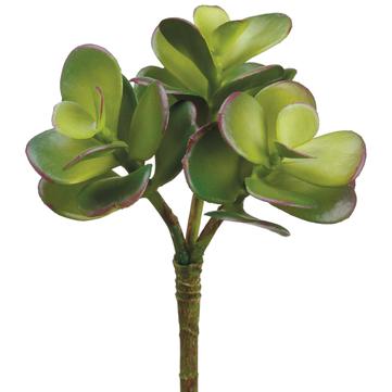 Jade Succulent Pick