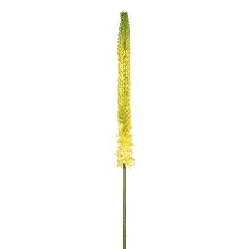 Lg. Foxtail Lily Spray - Yellow Green