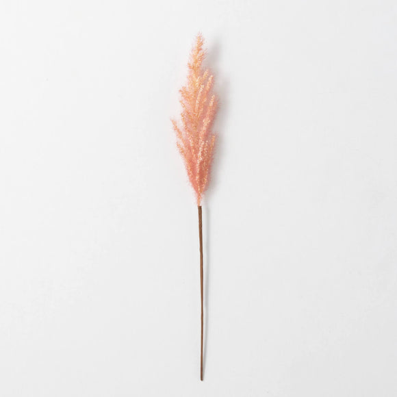 Plume Grass Stem