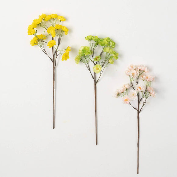 Spring Blossom